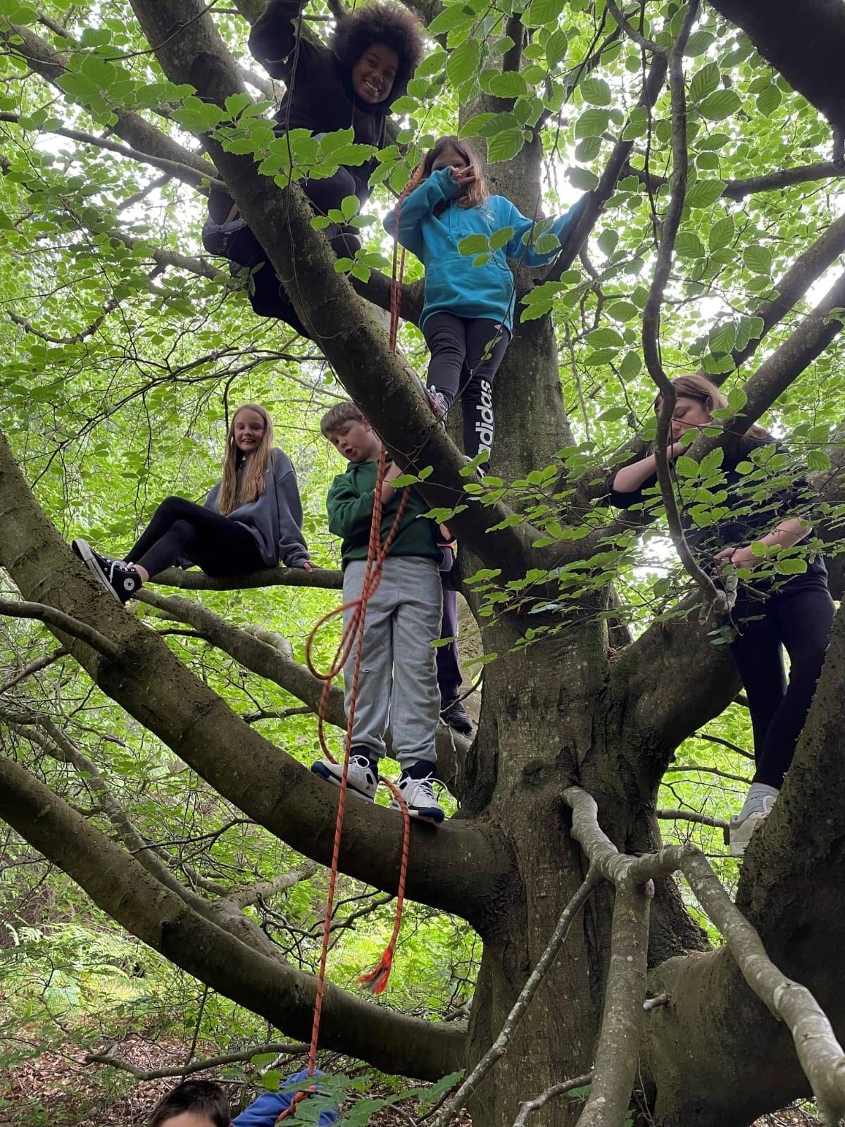 Children in a tree